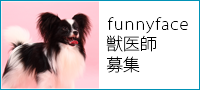 funnyface求人情報