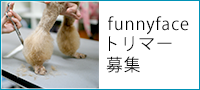 funnyface求人情報