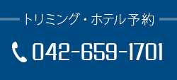 ファニーフェイストリミング・ホテル予約 042-659-1701